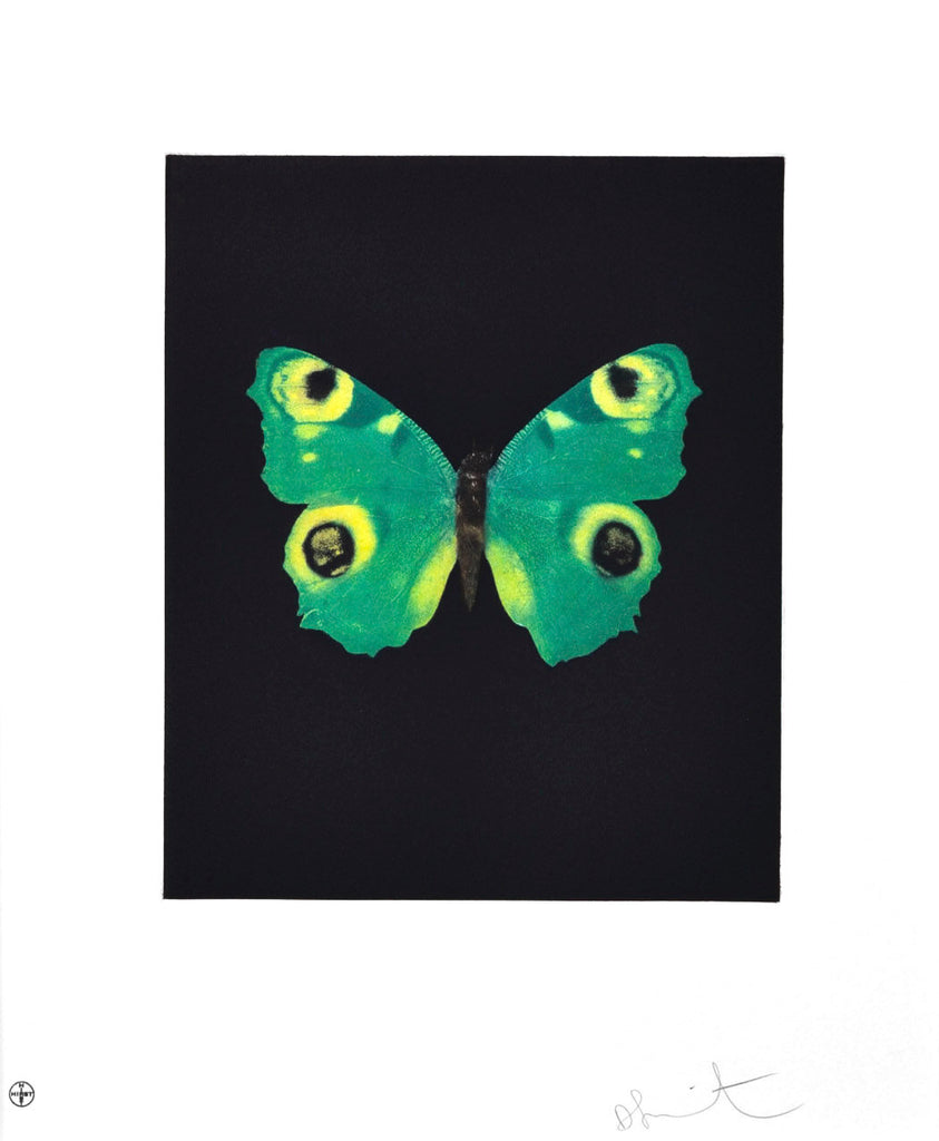 Damien Hirst "Fate" Butterfly Etching
